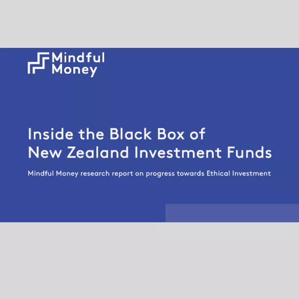 Inside the black box of New Zealand investment funds