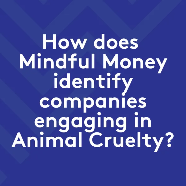 Animal Cruelty Research Methodology