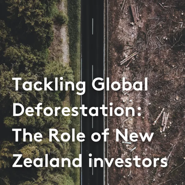 Tackling Global Deforestation : The Role of Investors