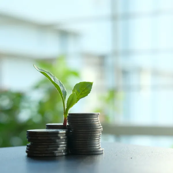 Every dollar counts: Climatics grant enables greater transparency