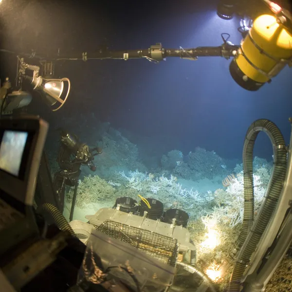 Moana Under Pressure: Deep Sea Mining in Aotearoa