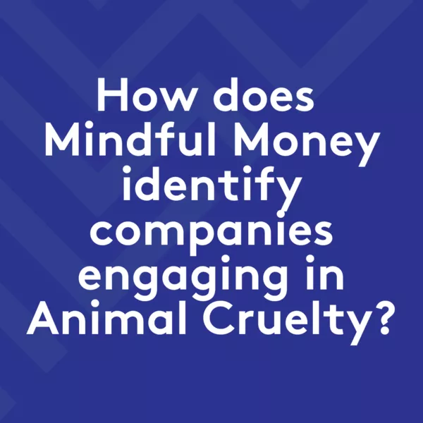 Animal Cruelty Research Methodology