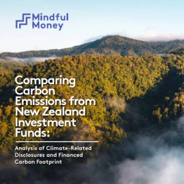Analysis of Climate-Related Disclosures and Financed Carbon Footprint