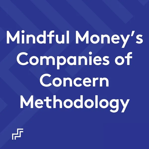 Mindful Money's Companies of Concern Methodology