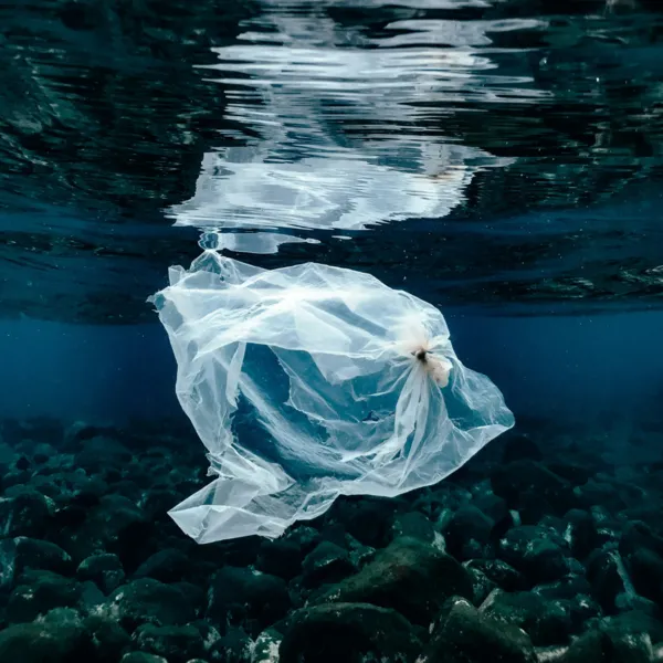 Choking in plastic: how your investments can help our oceans breathe again