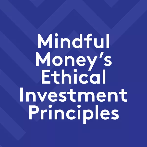 Mindful Money’s Ethical Investment Principles