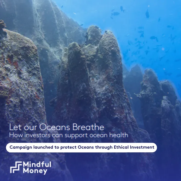 Mindful Money Launches Campaign to Protect Our Oceans Through Ethical Investment