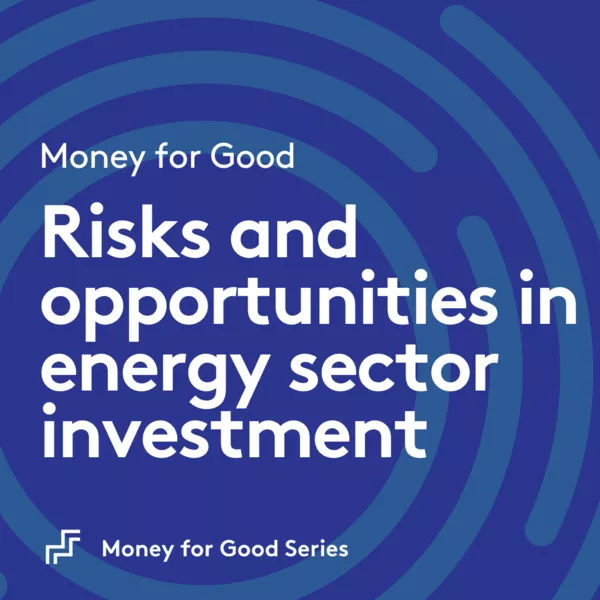 Risks and opportunities in energy sector investment