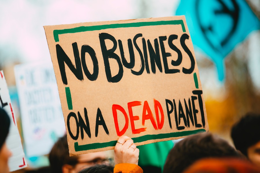 Climate march sign: No business on a dead planet